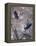 Nesting Time - Great Blue Herons-Jeff Tift-Framed Premier Image Canvas