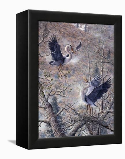 Nesting Time - Great Blue Herons-Jeff Tift-Framed Premier Image Canvas