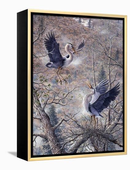 Nesting Time - Great Blue Herons-Jeff Tift-Framed Premier Image Canvas