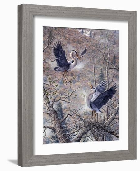 Nesting Time - Great Blue Herons-Jeff Tift-Framed Giclee Print