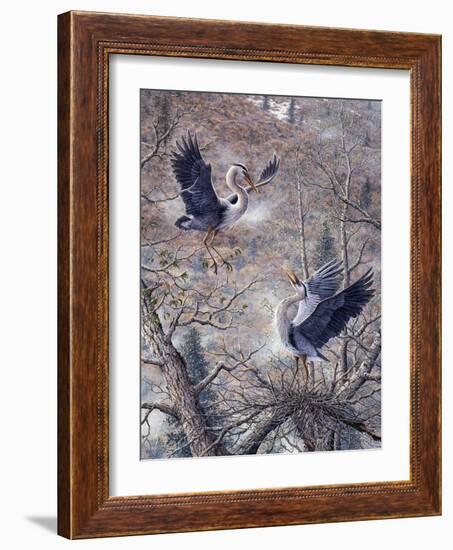 Nesting Time - Great Blue Herons-Jeff Tift-Framed Giclee Print