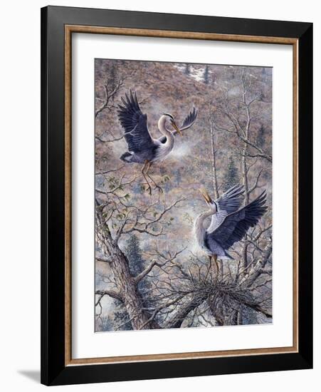 Nesting Time - Great Blue Herons-Jeff Tift-Framed Giclee Print