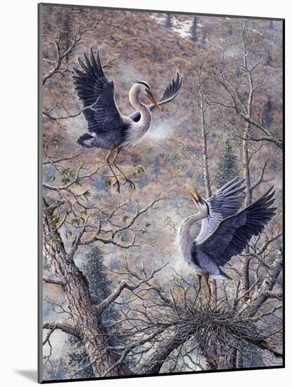 Nesting Time - Great Blue Herons-Jeff Tift-Mounted Giclee Print