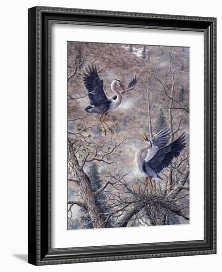 Nesting Time - Great Blue Herons-Jeff Tift-Framed Giclee Print