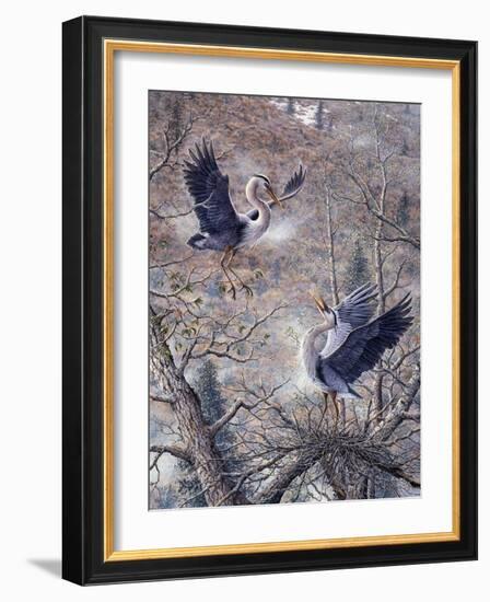 Nesting Time - Great Blue Herons-Jeff Tift-Framed Giclee Print