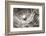 Nesting-Nathan Larson-Framed Photographic Print