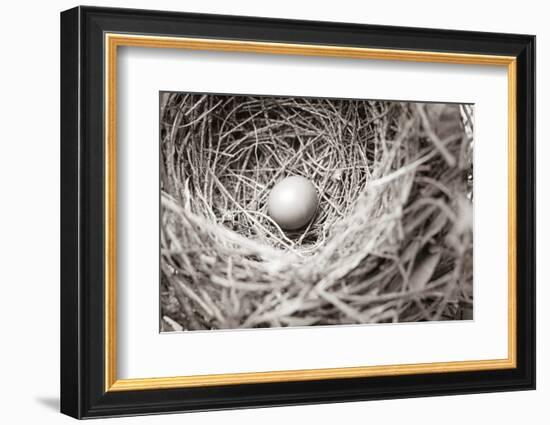 Nesting-Nathan Larson-Framed Photographic Print