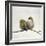 Nestle-Nathan Secker-Framed Giclee Print