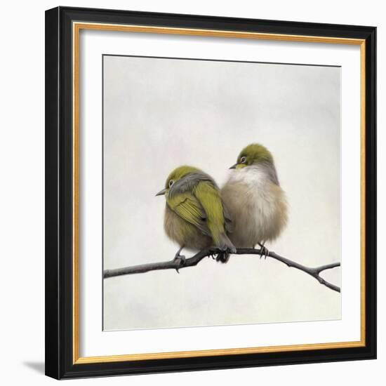 Nestle-Nathan Secker-Framed Giclee Print