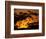 Nests of Spectacled Weaver Hanging from Acacia Trees, Buffalo Springs National Reserve, Kenya-Mitch Reardon-Framed Photographic Print