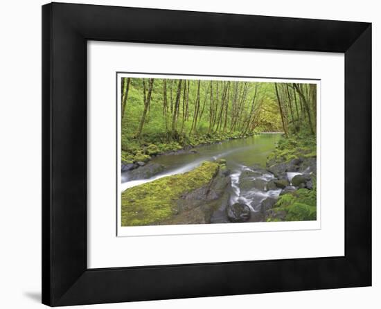 Nestucca River I-Donald Paulson-Framed Giclee Print