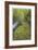 Nestucca River II-Donald Paulson-Framed Giclee Print