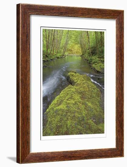 Nestucca River II-Donald Paulson-Framed Giclee Print