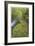 Nestucca River II-Donald Paulson-Framed Giclee Print