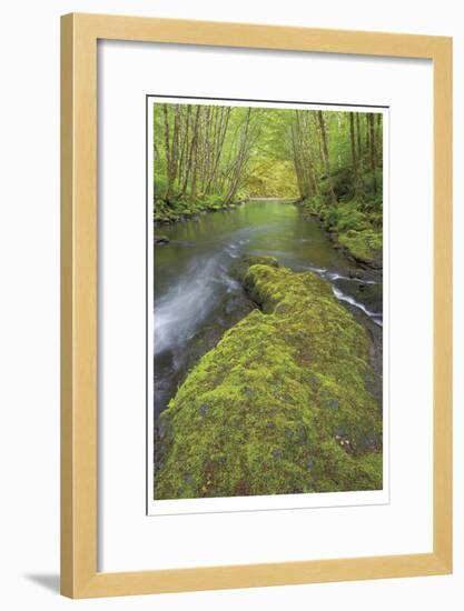 Nestucca River II-Donald Paulson-Framed Giclee Print