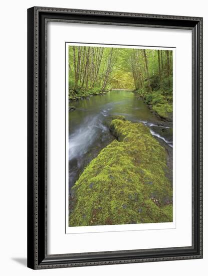 Nestucca River II-Donald Paulson-Framed Giclee Print