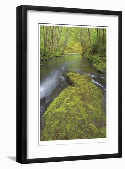 Nestucca River II-Donald Paulson-Framed Giclee Print