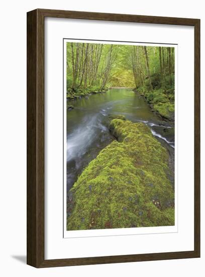 Nestucca River II-Donald Paulson-Framed Giclee Print