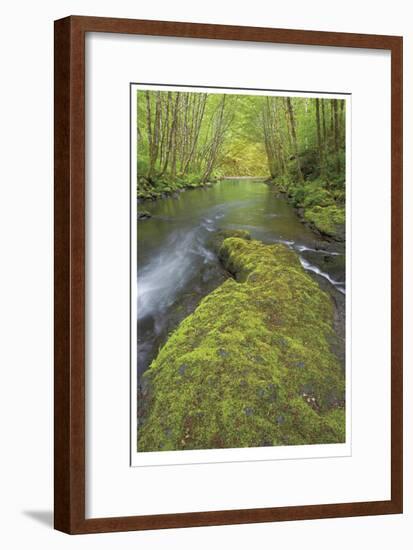 Nestucca River II-Donald Paulson-Framed Giclee Print