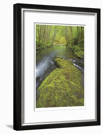 Nestucca River II-Donald Paulson-Framed Giclee Print