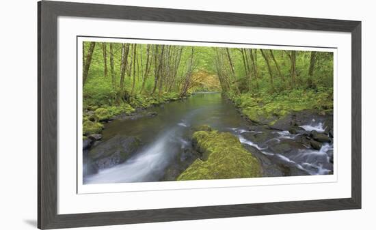 Nestucca River Panorama-Donald Paulson-Framed Giclee Print