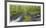 Nestucca River Panorama-Donald Paulson-Framed Giclee Print