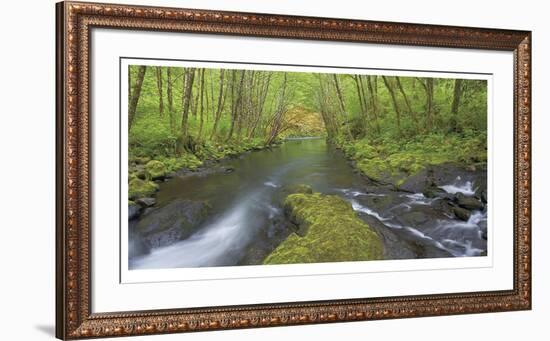 Nestucca River Panorama-Donald Paulson-Framed Giclee Print