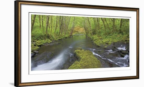 Nestucca River Panorama-Donald Paulson-Framed Giclee Print