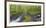 Nestucca River Panorama-Donald Paulson-Framed Giclee Print