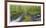 Nestucca River Panorama-Donald Paulson-Framed Giclee Print