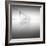 Net at Pool BW-Moises Levy-Framed Photographic Print