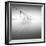 Net at Pool BW-Moises Levy-Framed Photographic Print