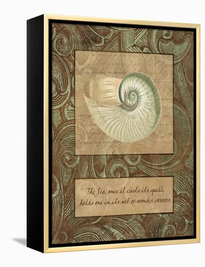 Net of Wonder-Artique Studio-Framed Stretched Canvas