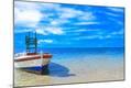 Photographic Print