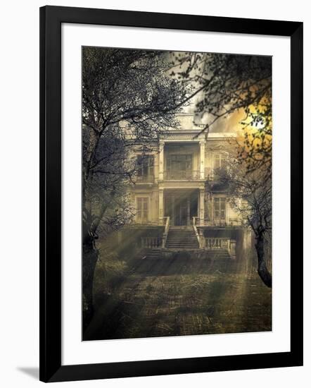 Photographic Print, , large