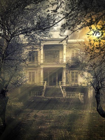 Photographic Print, , large