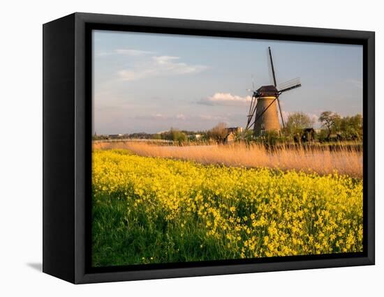 Netherland, Kinderdijk. Windmills along the canal.-Julie Eggers-Framed Premier Image Canvas