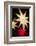 Netherlands, Amsterdam. Rembrandtplein square, Christmas Market-Walter Bibikow-Framed Photographic Print