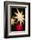 Netherlands, Amsterdam. Rembrandtplein square, Christmas Market-Walter Bibikow-Framed Photographic Print