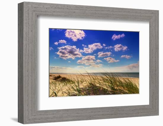 Netherlands, Holland, on the West Frisian Island of Texel, Province of North Holland-Beate Margraf-Framed Photographic Print