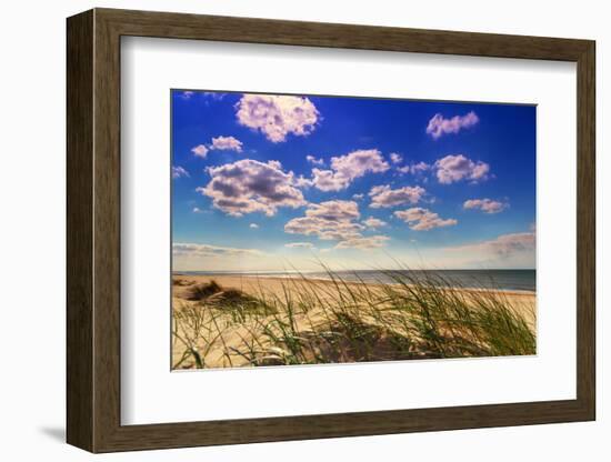 Netherlands, Holland, on the West Frisian Island of Texel, Province of North Holland-Beate Margraf-Framed Photographic Print