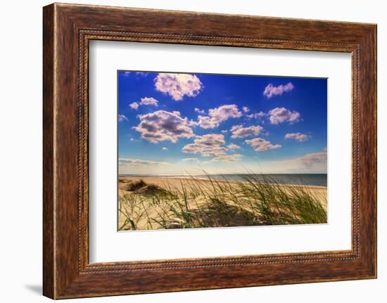 Netherlands, Holland, on the West Frisian Island of Texel, Province of North Holland-Beate Margraf-Framed Photographic Print