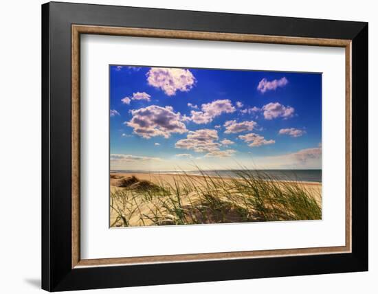 Netherlands, Holland, on the West Frisian Island of Texel, Province of North Holland-Beate Margraf-Framed Photographic Print