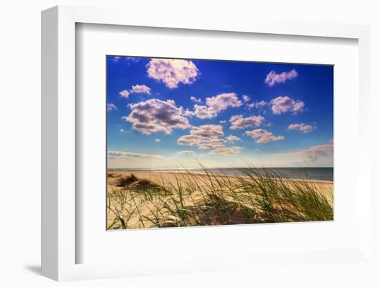 Netherlands, Holland, on the West Frisian Island of Texel, Province of North Holland-Beate Margraf-Framed Photographic Print