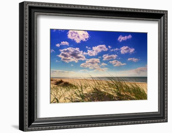 Netherlands, Holland, on the West Frisian Island of Texel, Province of North Holland-Beate Margraf-Framed Photographic Print