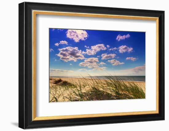 Netherlands, Holland, on the West Frisian Island of Texel, Province of North Holland-Beate Margraf-Framed Photographic Print