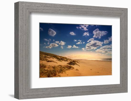 Netherlands, Holland, on the West Frisian Island of Texel, Province of North Holland-Beate Margraf-Framed Photographic Print