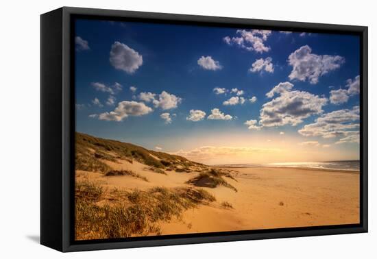 Netherlands, Holland, on the West Frisian Island of Texel, Province of North Holland-Beate Margraf-Framed Premier Image Canvas