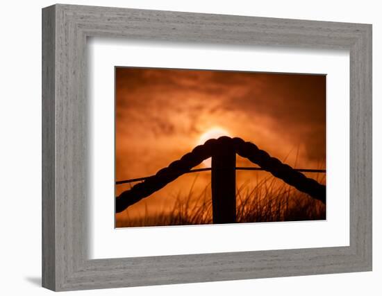 Netherlands, Holland, on the West Frisian Island of Texel, Province of North Holland-Beate Margraf-Framed Photographic Print