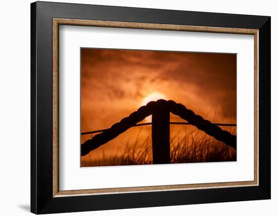 Netherlands, Holland, on the West Frisian Island of Texel, Province of North Holland-Beate Margraf-Framed Photographic Print